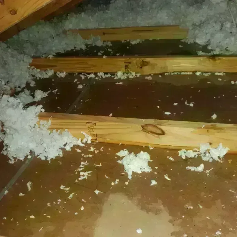 Attic Water Damage in Lexington, VA