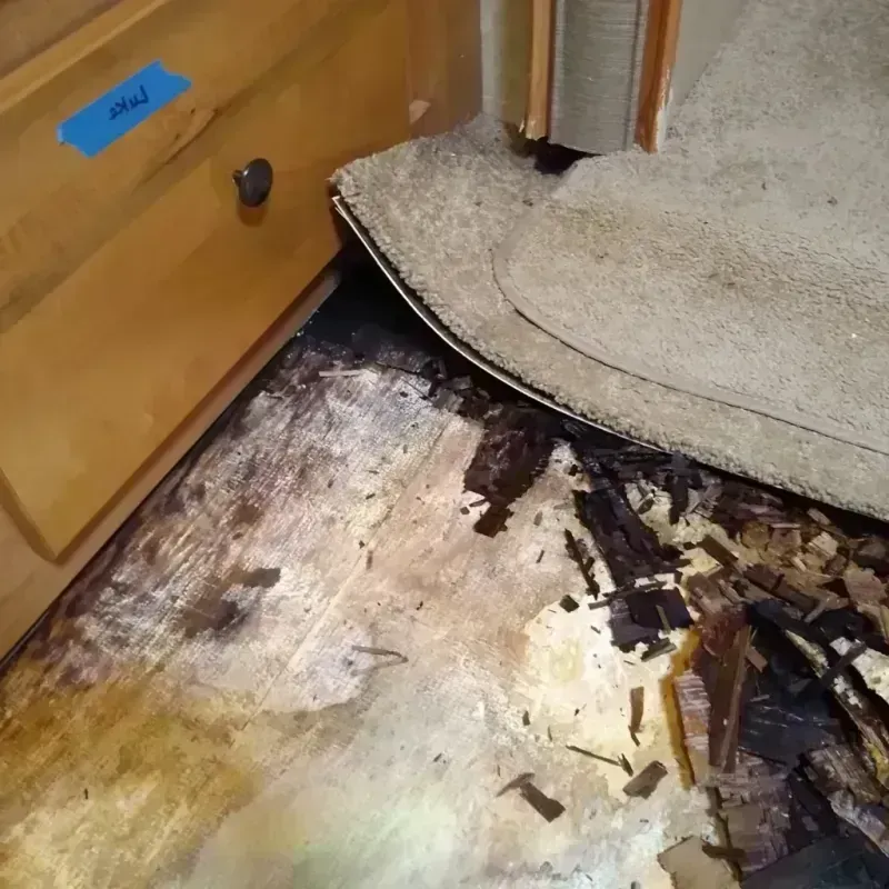 Best Wood Floor Water Damage Service in Lexington, VA